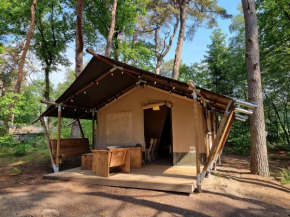 Camp Diekirch